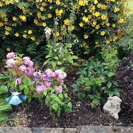 Hollymount House Cahir