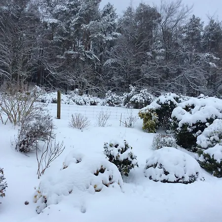 Frühstückspension Hollymount House Cahir