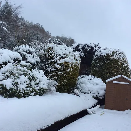 Hollymount House 3* Cahir