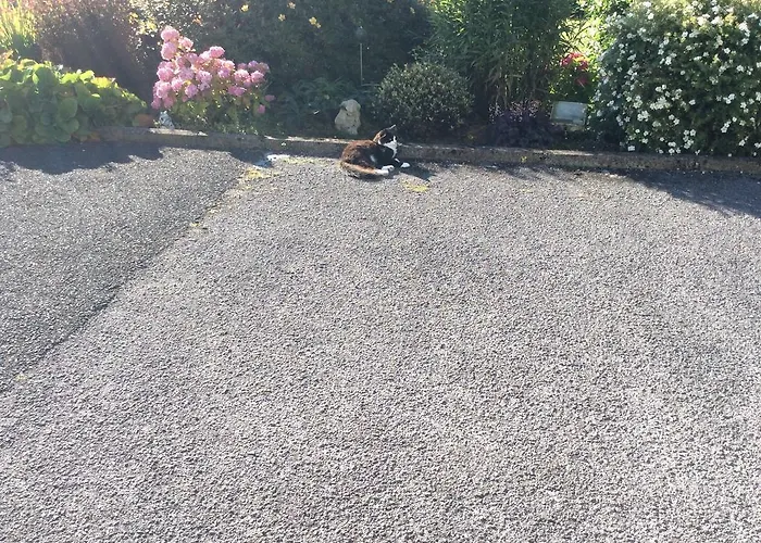 Hollymount House Bed & Breakfast Cahir