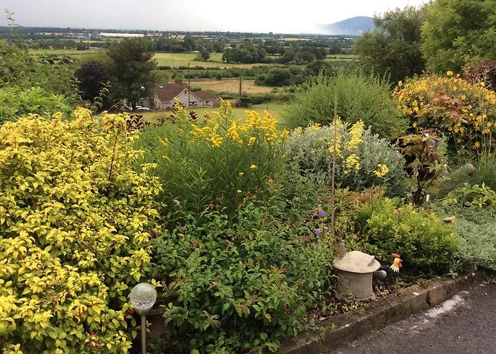 Bed & Breakfast Hollymount House