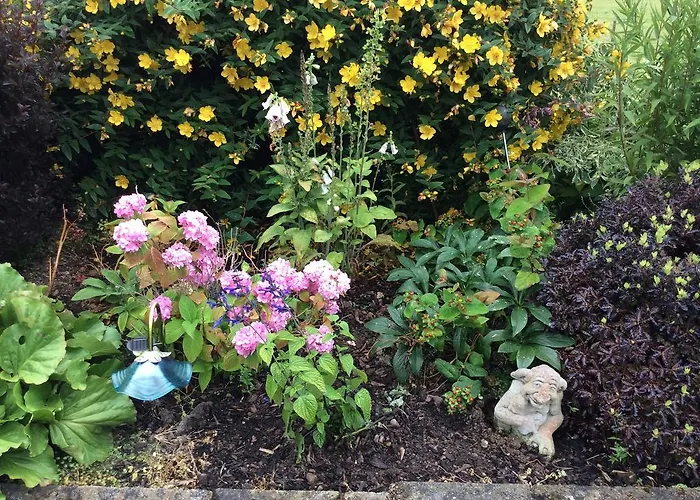 Hollymount House Cahir