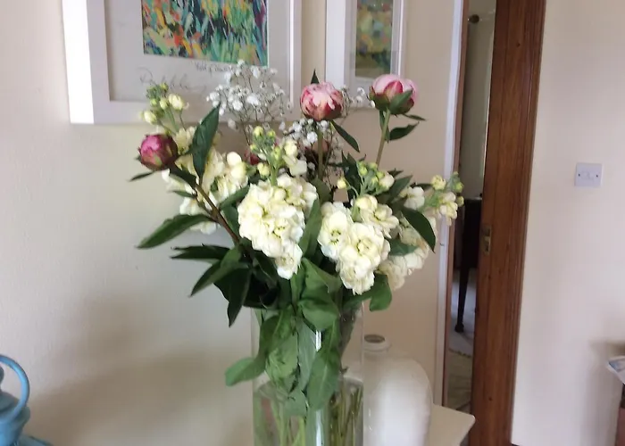 Hollymount House Bed & Breakfast