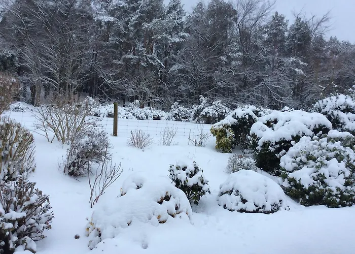 Bed & Breakfast Hollymount House Cahir